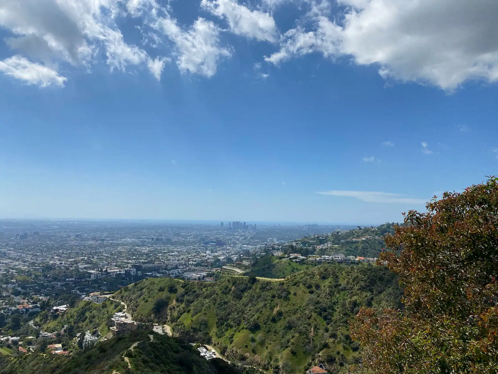 Los Angeles Mental Health Services Act Housing Program