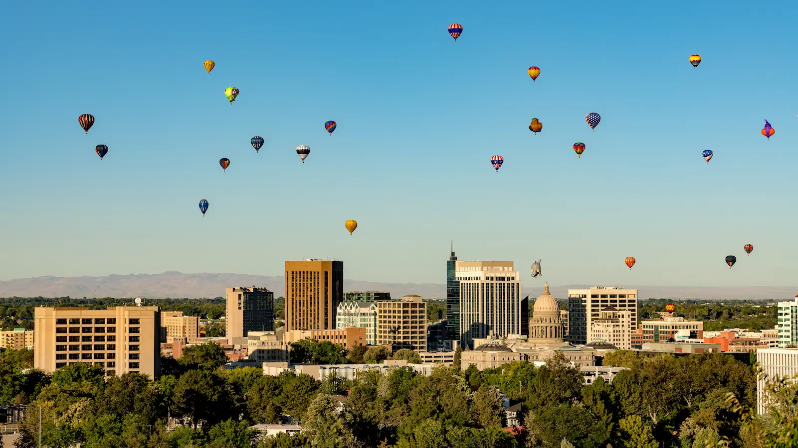 Park Investment and Economic Vitality Study