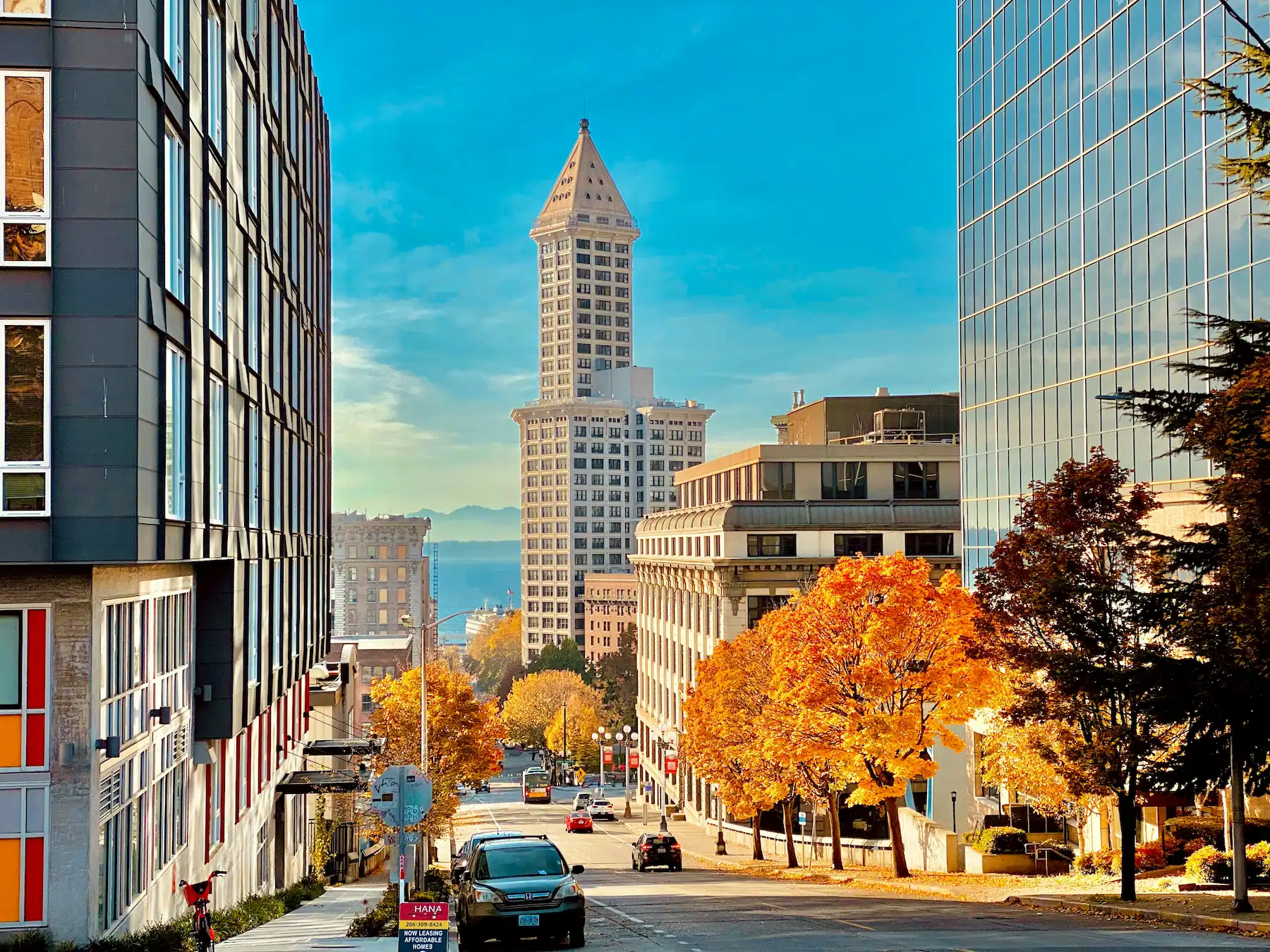 Seattle Municipal Bank Feasibility Study